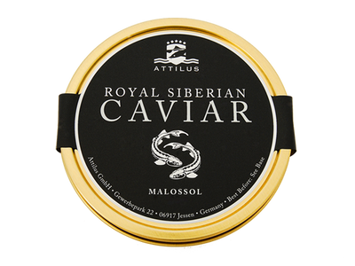 CAVIALE ROYAL SIBERIAN