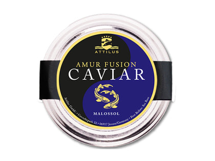 Caviale Amur Fusion  (Pastorizzato)